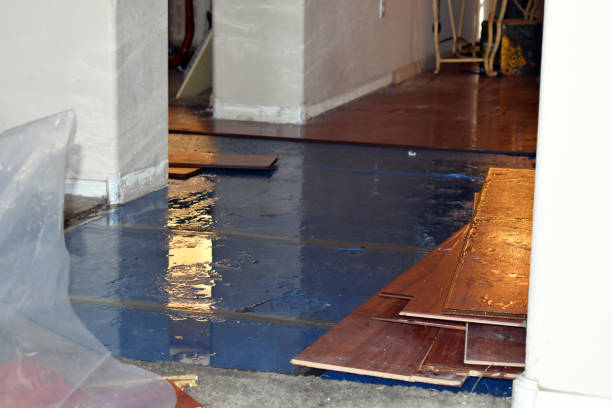 Professional Flood Damage Repair technician working in Strong, ME